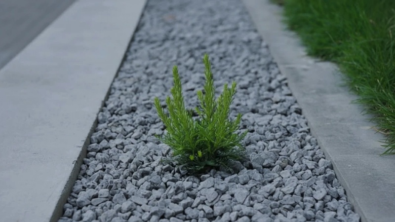 Jesteś zainteresowany?