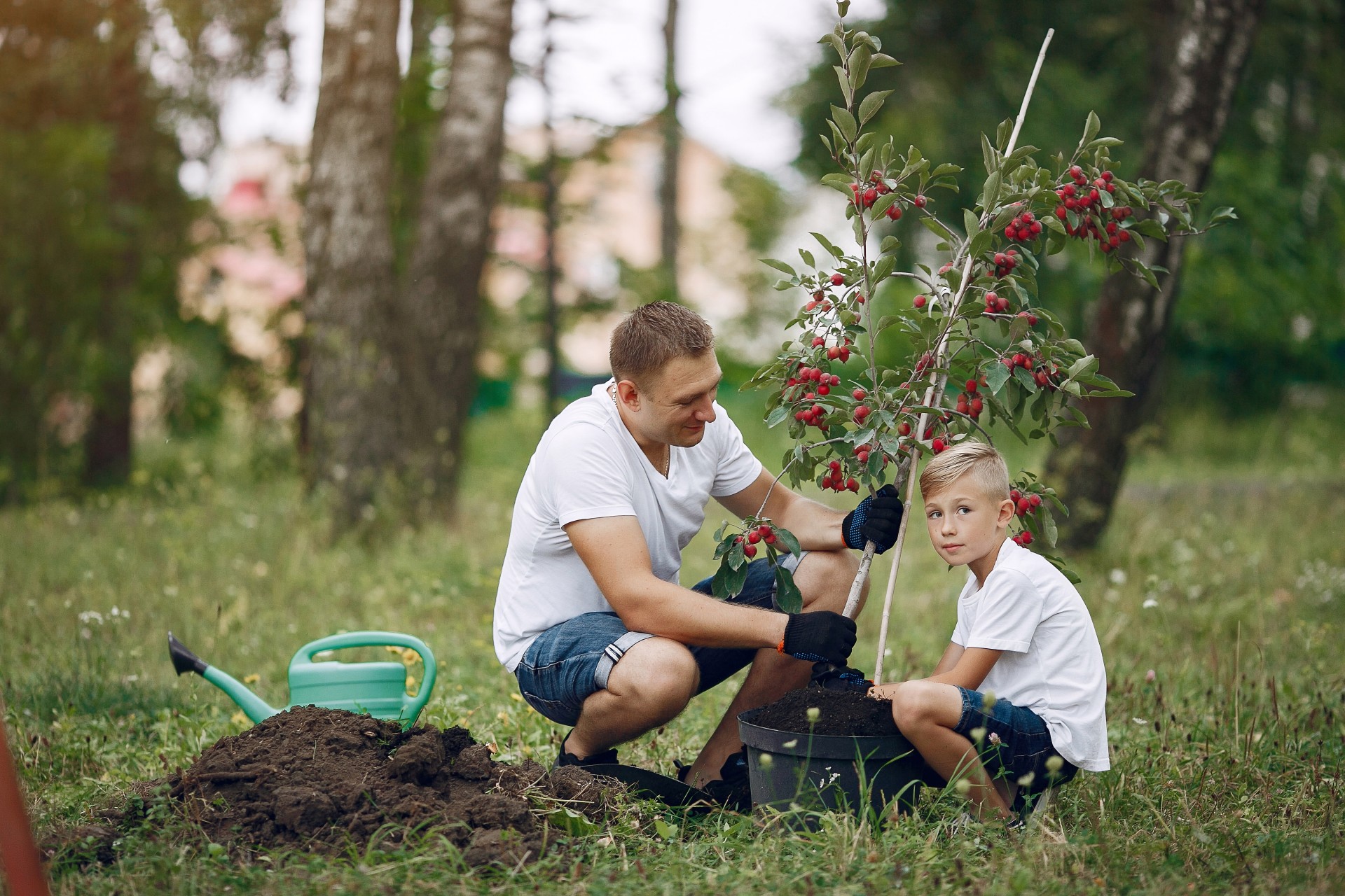 Rośliny w ogrodzie ekologicznym